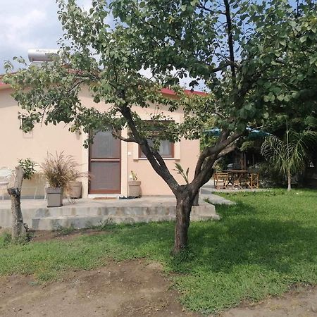 Tiny House By The Sea Villa Nea Skioni Luaran gambar